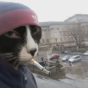 Avatar de GarfioAg