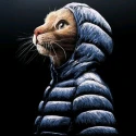 Avatar de Thiagok17